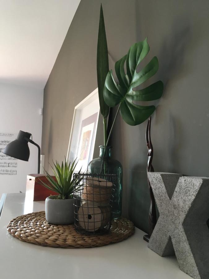 Apartamento El Robledal Ciruena ภายนอก รูปภาพ